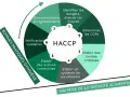 Diagramme HACCP illustrant les 7 étapes pour la maîtrise de la sécurité alimentaire, essentiel pour la réglementation d'un restaurant éphémère.