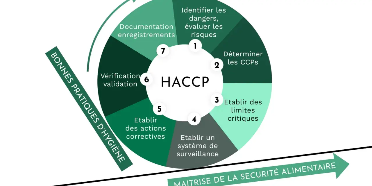 Diagramme HACCP illustrant les 7 étapes pour la maîtrise de la sécurité alimentaire, essentiel pour la réglementation d'un restaurant éphémère.