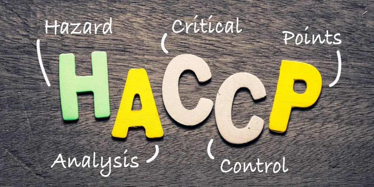Lettres formant HACCP : Hazard Analysis Critical Control Points. Essentiel pour la norme ERP restaurant.