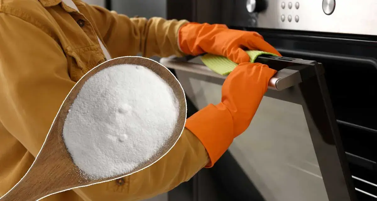 Une cuillère de bicarbonate de soude, le produit idéal avec quel produit nettoyer un four. Mains gantées nettoyant la porte du four.