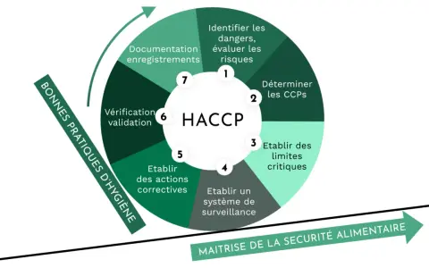 Diagramme HACCP illustrant les 7 étapes pour la maîtrise de la sécurité alimentaire, essentiel pour la réglementation d'un restaurant éphémère.