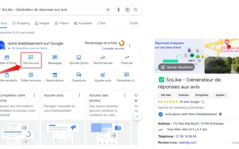 Interface Google pour gérer un établissement. Une flèche rouge pointe vers "Voir les avis", une option pour gérer les retours clients et potentiellement supprimer avis Google.