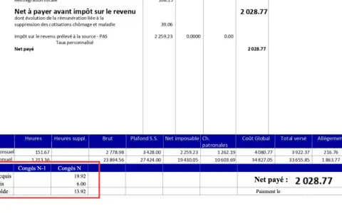 Extrait de bulletin de paie montrant le net à payer de 2028.77. Les colonnes indiquent le nombre d'heures, le brut, et le net imposable pour le mois et l'année. Le nombre d'heures travaillées par mois est de 151.67.