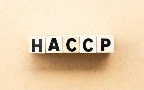 Cubes en bois formant le mot HACCP, essentiel pour la sécurité alimentaire d'un restaurant 5ème catégorie.