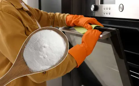 Une cuillère de bicarbonate de soude, le produit idéal avec quel produit nettoyer un four. Mains gantées nettoyant la porte du four.