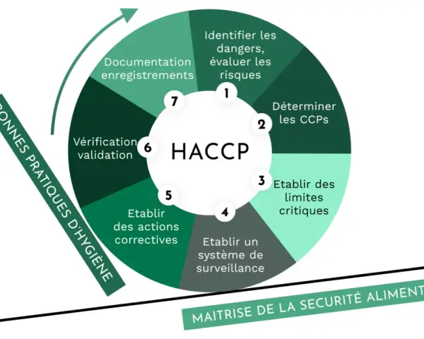 Diagramme HACCP illustrant les 7 étapes pour la maîtrise de la sécurité alimentaire, essentiel pour la réglementation d'un restaurant éphémère.