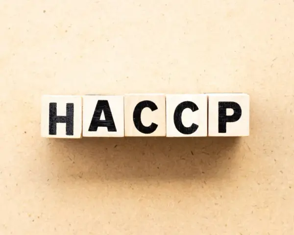 Cubes en bois formant le mot HACCP, essentiel pour la sécurité alimentaire d'un restaurant 5ème catégorie.