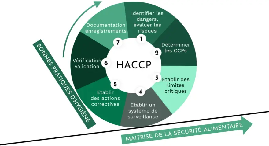 Diagramme HACCP illustrant les 7 étapes pour la maîtrise de la sécurité alimentaire, essentiel pour la réglementation d'un restaurant éphémère.