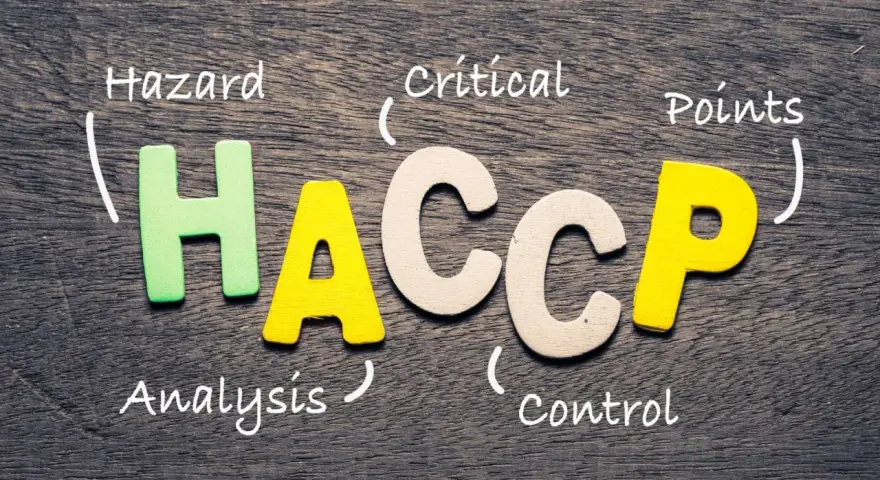 Lettres formant HACCP : Hazard Analysis Critical Control Points. Essentiel pour la norme ERP restaurant.