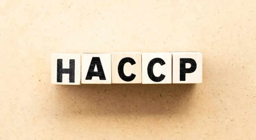 Cubes en bois formant le mot HACCP, essentiel pour la sécurité alimentaire d'un restaurant 5ème catégorie.